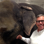 An Ad Man and His Elephant