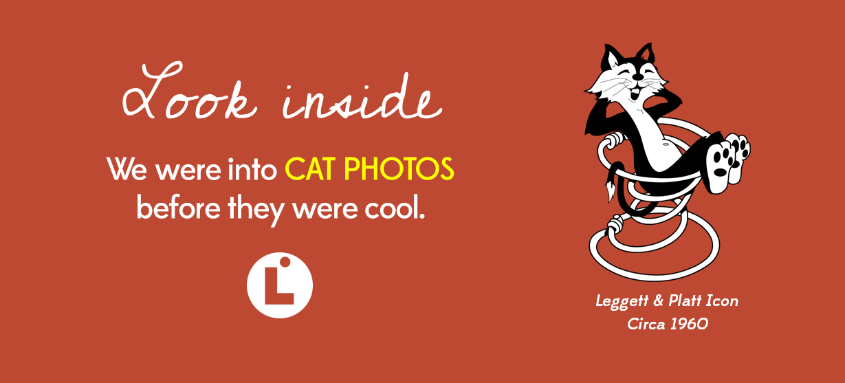 Look Inside - Cat Photos