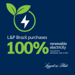 Sustainability-Month_Brazil